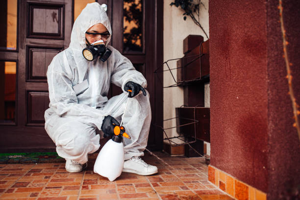 Reliable Cockroach Control contractor in The Colony, TX by Nex Pest Control